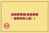 湖南鲜黄精(湖南黄精：新鲜到你心底！)