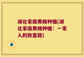 湖北家庭黄精种植(湖北家庭黄精种植：一家人的致富路)