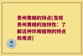 贵州黄精的特点(发现贵州黄精的独特性：了解这种珍稀植物的特点和用途)
