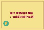 临江 黄精(临江黄精：云南的珍贵中草药)