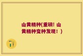 山黄精种(重磅! 山黄精种变种发现！)