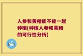 人参和黄精能不能一起种植(种植人参和黄精的可行性分析)