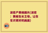波密产黄精图片(波密：黄精生长之地，让你见识更好的画面)