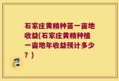 石家庄黄精种苗一亩地收益(石家庄黄精种植一亩地年收益预计多少？)