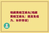 地藏黄精芝麻丸(地藏黄精芝麻丸：提高免疫力、补肝养肾)