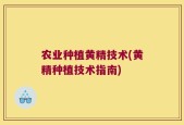 农业种植黄精技术(黄精种植技术指南)