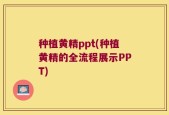 种植黄精ppt(种植黄精的全流程展示PPT)