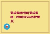 荣成黄精种植(荣成黄精：种植技巧与养护要点)