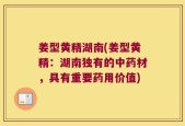 姜型黄精湖南(姜型黄精：湖南独有的中药材，具有重要药用价值)