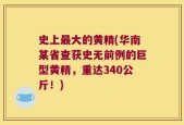 史上最大的黄精(华南某省查获史无前例的巨型黄精，重达340公斤！)