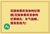花旗参黄芪党参枸杞黄精(花旗参黄芪党参枸杞黄精丸：补气益精，提高免疫力)