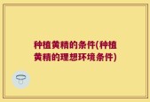 种植黄精的条件(种植黄精的理想环境条件)