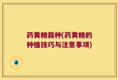 药黄精栽种(药黄精的种植技巧与注意事项)
