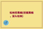松林挖黄精(挖掘黄精，深入松林)