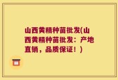 山西黄精种苗批发(山西黄精种苗批发：产地直销，品质保证！)