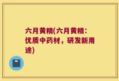 六月黄精(六月黄精：优质中药材，研发新用途)