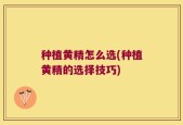 种植黄精怎么选(种植黄精的选择技巧)
