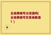 云南黄精可以泡酒吗(云南黄精可否用来酿酒？)