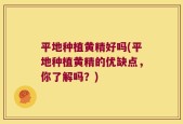 平地种植黄精好吗(平地种植黄精的优缺点，你了解吗？)