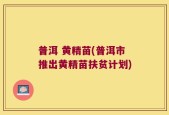 普洱 黄精苗(普洱市推出黄精苗扶贫计划)