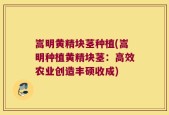嵩明黄精块茎种植(嵩明种植黄精块茎：高效农业创造丰硕收成)