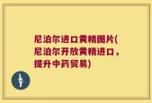 尼泊尔进口黄精图片(尼泊尔开放黄精进口，提升中药贸易)