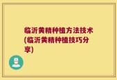 临沂黄精种植方法技术(临沂黄精种植技巧分享)