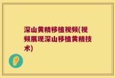 深山黄精移植视频(视频展现深山移植黄精技术)