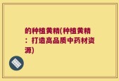 的种植黄精(种植黄精：打造高品质中药材资源)