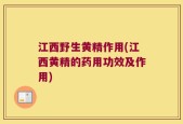 江西野生黄精作用(江西黄精的药用功效及作用)