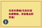 乌东村黄精(乌东村深处藏黄精，洋溢着山野芳香)