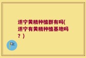 遂宁黄精种植群有吗(遂宁有黄精种植基地吗？)