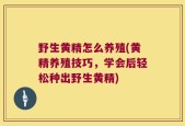 野生黄精怎么养殖(黄精养殖技巧，学会后轻松种出野生黄精)