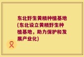 东北野生黄精种植基地(东北设立黄精野生种植基地，助力保护和发展产业化)