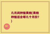 几月间种植黄精(黄精种植适合哪几个月份？)