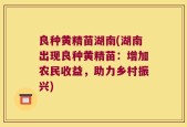 良种黄精苗湖南(湖南出现良种黄精苗：增加农民收益，助力乡村振兴)