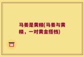 马姜是黄精(马姜与黄精，一对黄金搭档)
