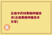 云南中药材黄精种植技术(云南黄精种植技术分享)