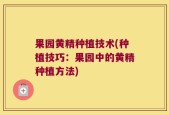 果园黄精种植技术(种植技巧：果园中的黄精种植方法)