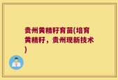 贵州黄精籽育苗(培育黄精籽，贵州现新技术)