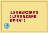 北方哪里能买到黄精苗(北方哪里有出售黄精苗的地方？)