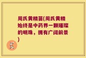 周氏黄精苗(周氏黄精始终是中药界一颗璀璨的明珠，拥有广阔前景)