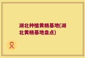 湖北种植黄精基地(湖北黄精基地盘点)