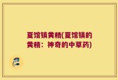 夏馆镇黄精(夏馆镇的黄精：神奇的中草药)