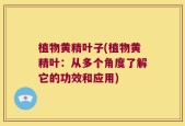 植物黄精叶子(植物黄精叶：从多个角度了解它的功效和应用)