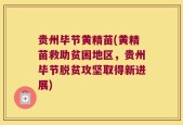 贵州毕节黄精苗(黄精苗救助贫困地区，贵州毕节脱贫攻坚取得新进展)