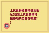上杭县种植黄精基地地址(福建上杭县黄精种植基地的位置在哪里？)