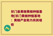 祁门县黄精黄精种植基地(祁门黄精种植基地：黄精产业助力农民增收