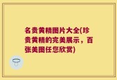 名贵黄精图片大全(珍贵黄精的完美展示，百张美图任您欣赏)