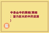 中条山中的黄精(黄精：潜力巨大的中药资源)